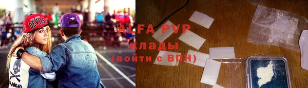 индика Нягань