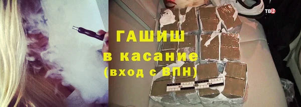 индика Нягань