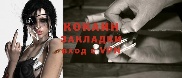 apvp Няндома