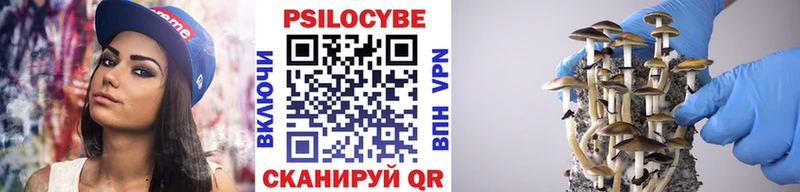 Псилоцибиновые грибы Magic Shrooms Ладушкин
